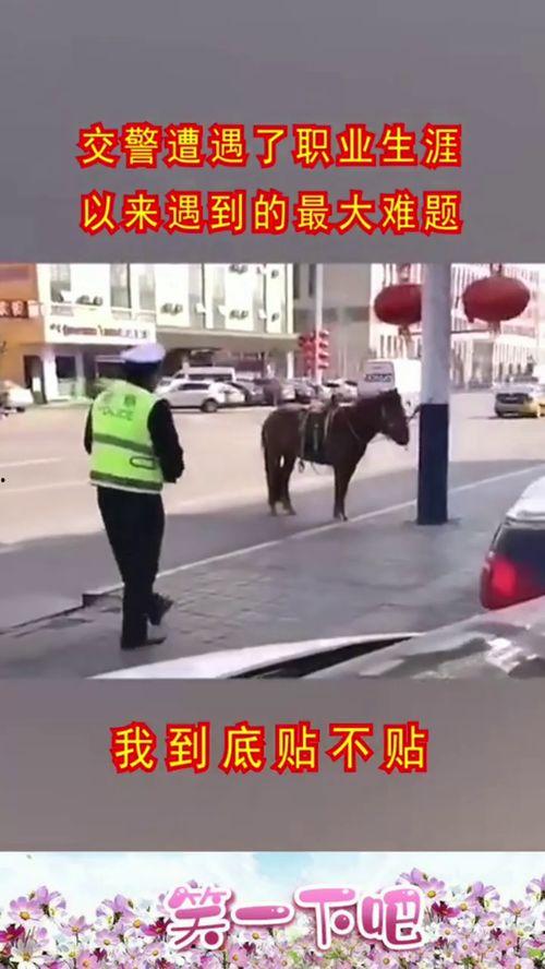 我站在这儿,我的城市之旅”