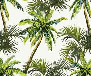 29片棕榈叶,探寻自然与生命的奥秘