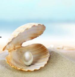 我想成为贝壳,探索成为行业翘楚的蜕变之路