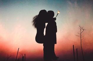 爱的迷雾,探寻心灵交织的迷离轨迹