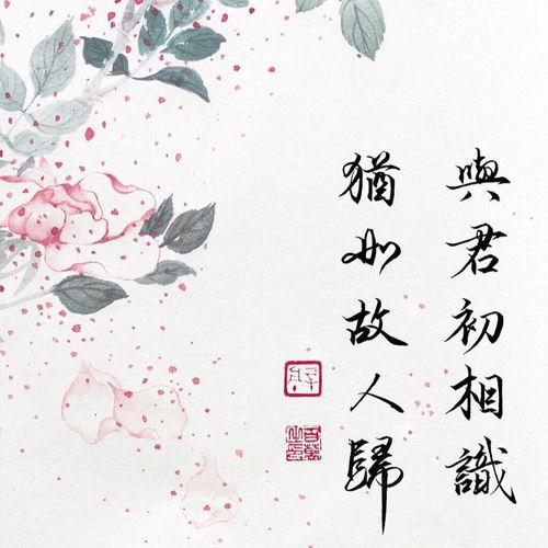 惊鸿故人归,一段跨越时光的深情邂逅