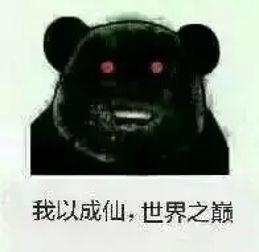 全球动员让我成仙,探寻成仙之路的奇幻旅程