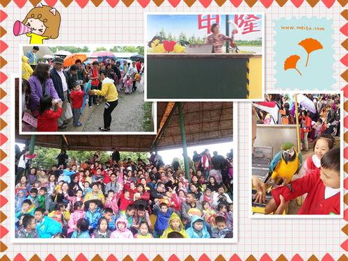 鹦鹉幼儿园,奇趣鸟儿们的快乐成长日记