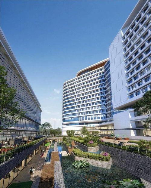 杏林医院 2024,创新医疗技术引领健康未来